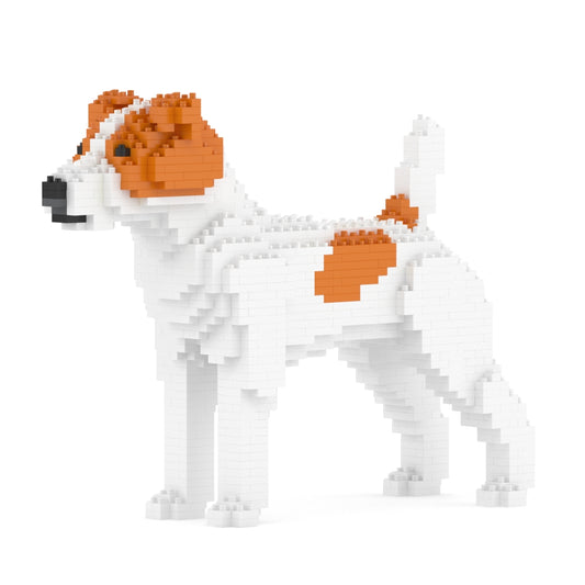 Chien Jack Russell Terrier taches marrons