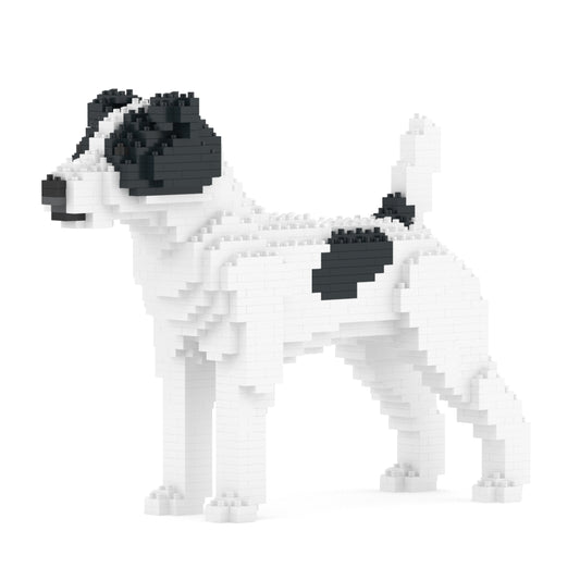 Chien Jack Russell Terrier taches noires