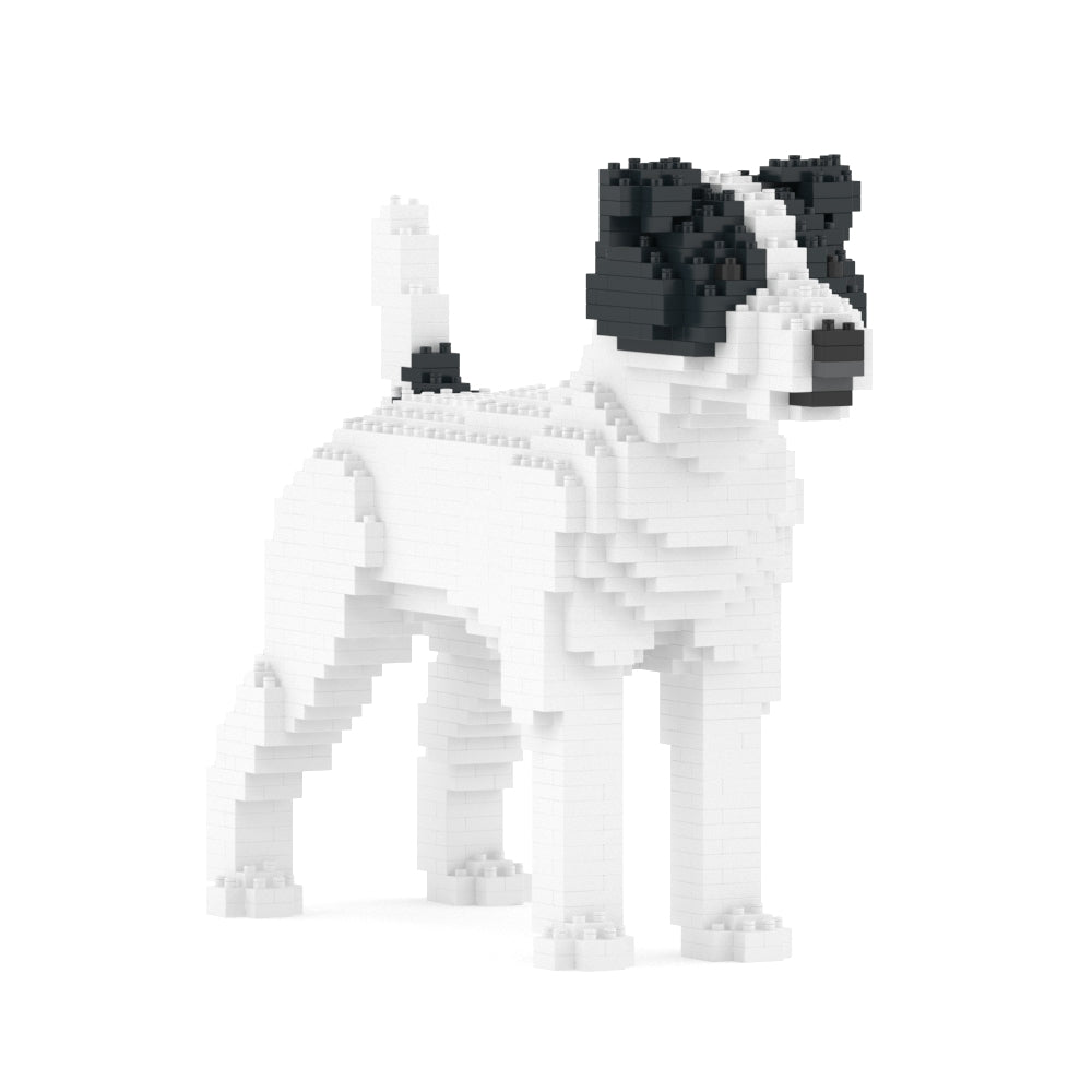 Chien Jack Russell Terrier taches noires