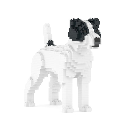 Chien Jack Russell Terrier taches noires