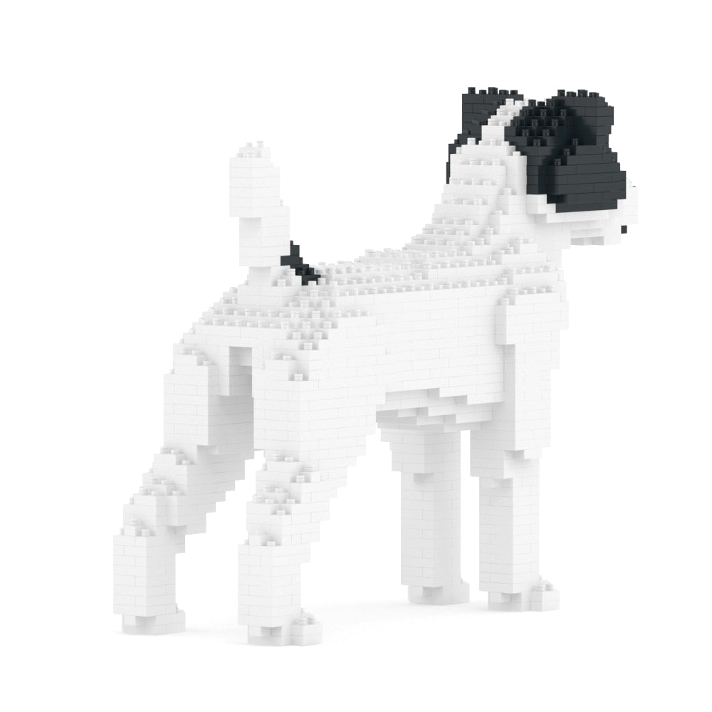 Chien Jack Russell Terrier taches noires