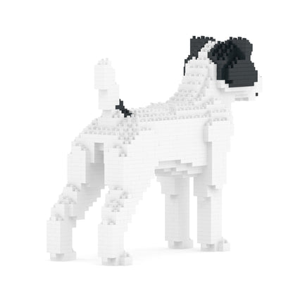 Chien Jack Russell Terrier taches noires