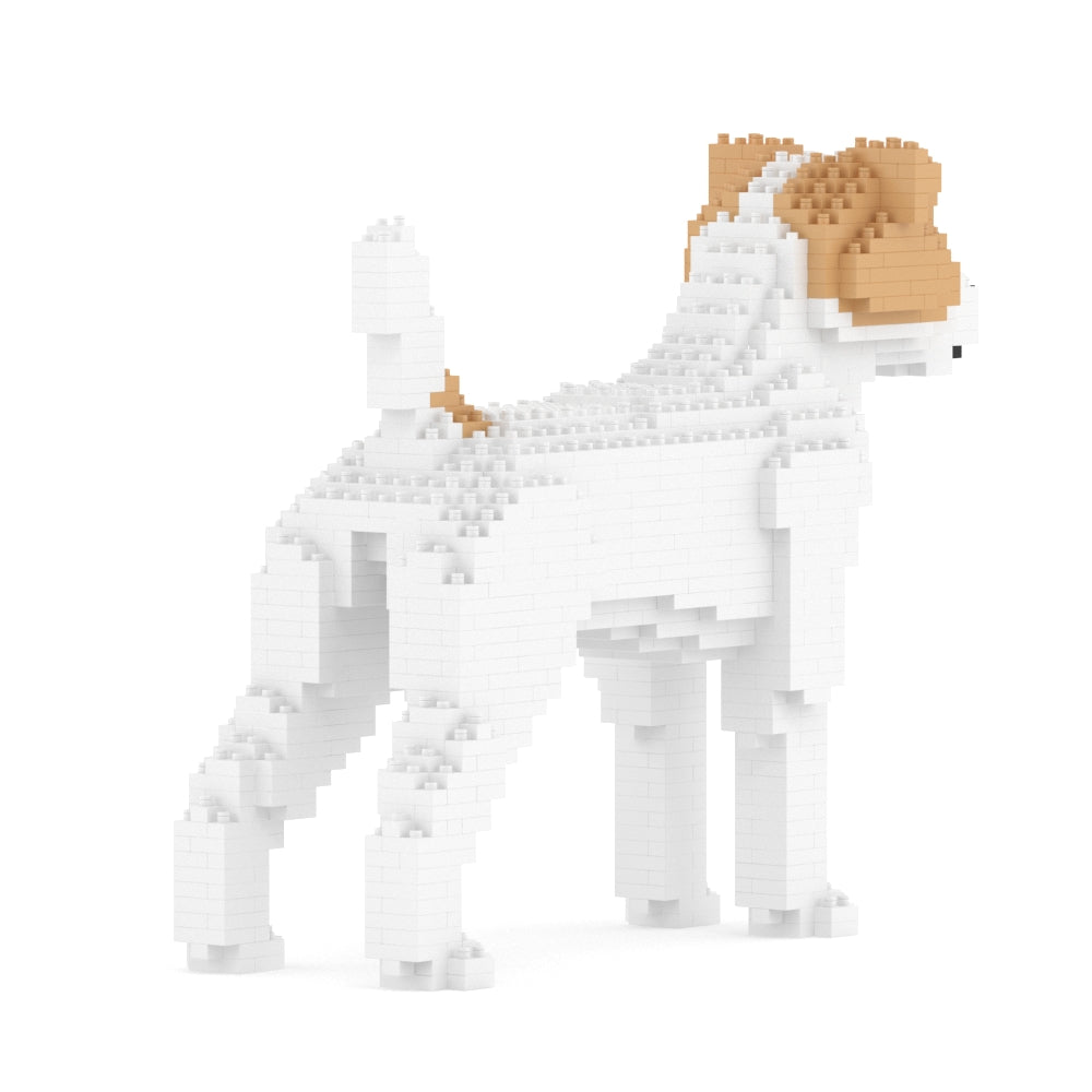 Chien Jack Russell Terrier taches beiges