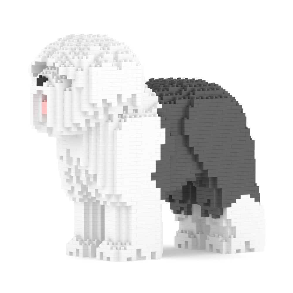 Chien Bobtail gris