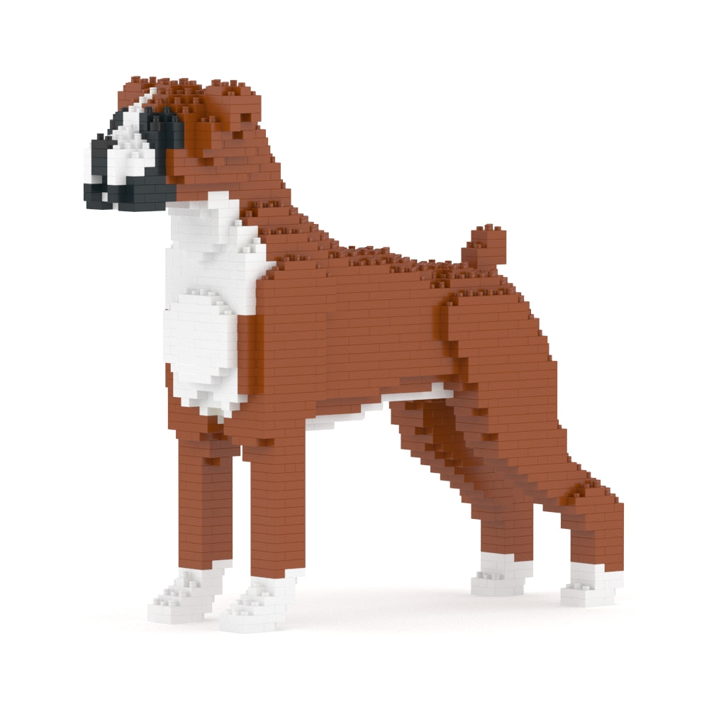 Chien Boxer marron