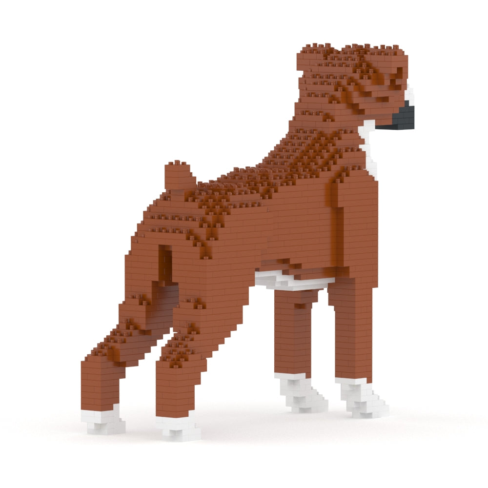 Chien Boxer marron