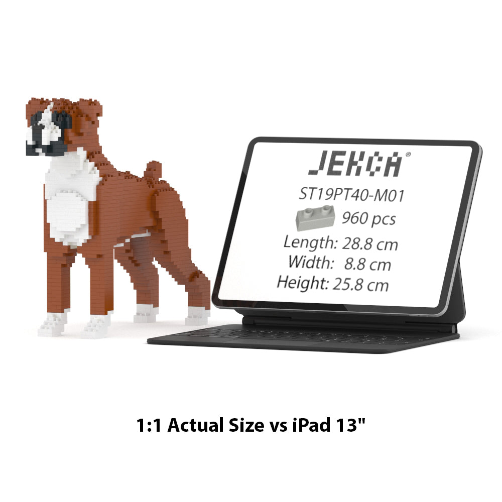 Chien Boxer marron