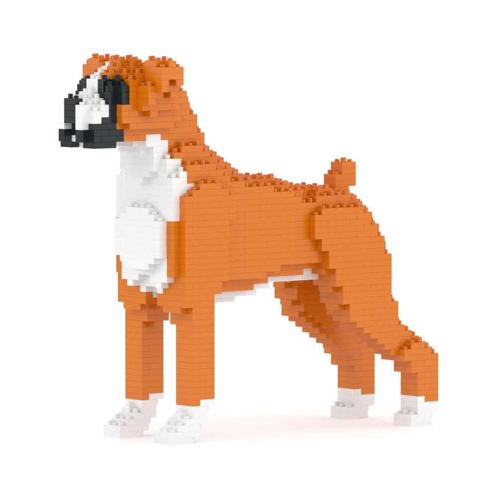 Chien Boxer roux
