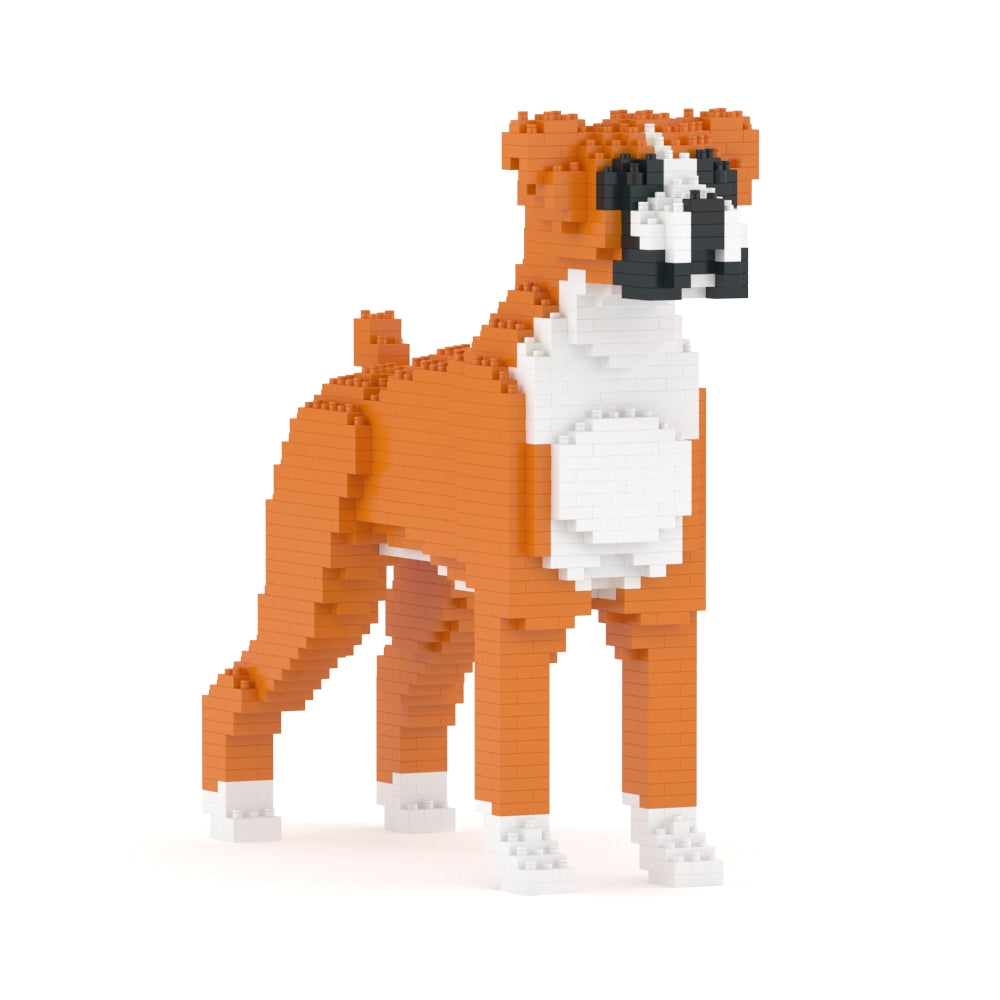 Chien Boxer roux