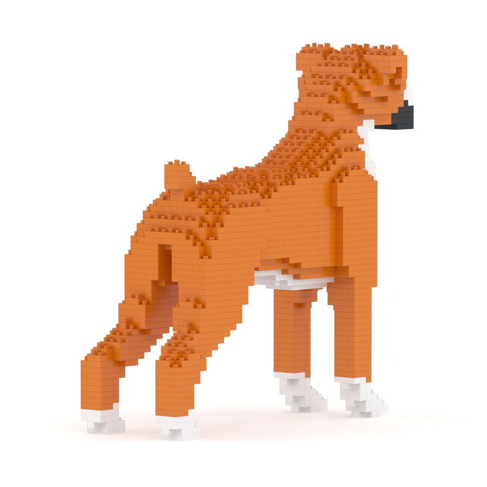 Chien Boxer roux