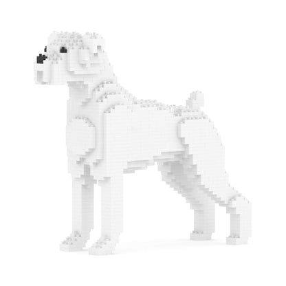 Chien Boxer blanc