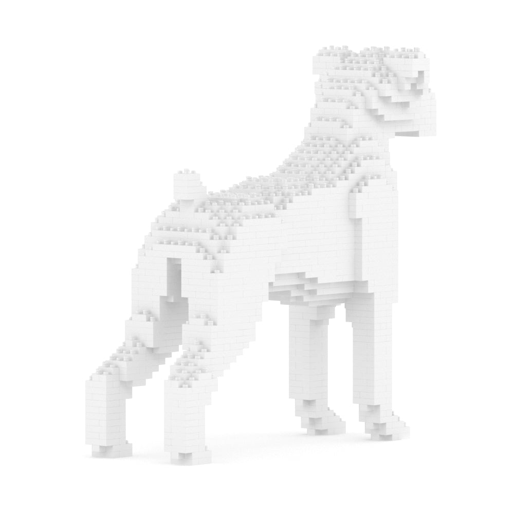 Chien Boxer blanc