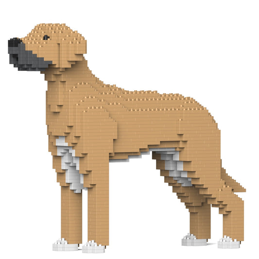 Chien Dogue Allemand beige