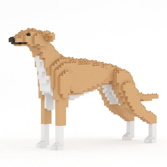 Chien Lévrier Anglais beige