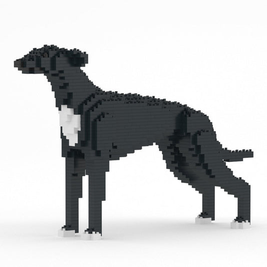 Chien Lévrier Anglais noir