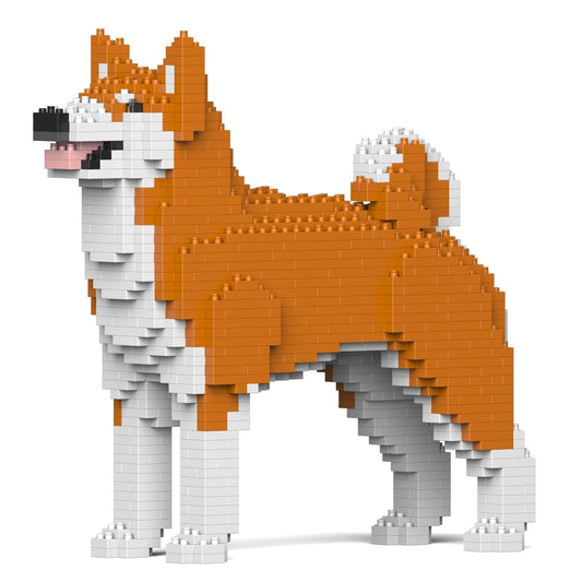 Chien Akita Inu roux
