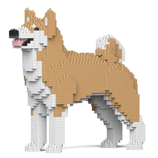 Chien Akita Inu beige