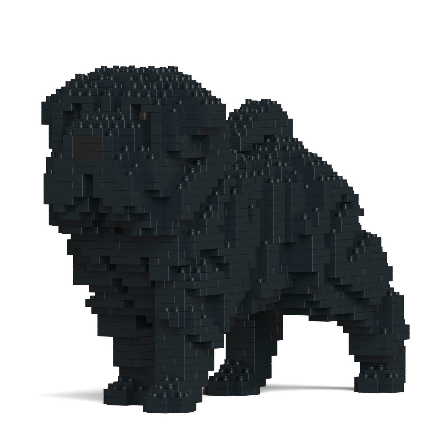 Chien Shar Pei noir