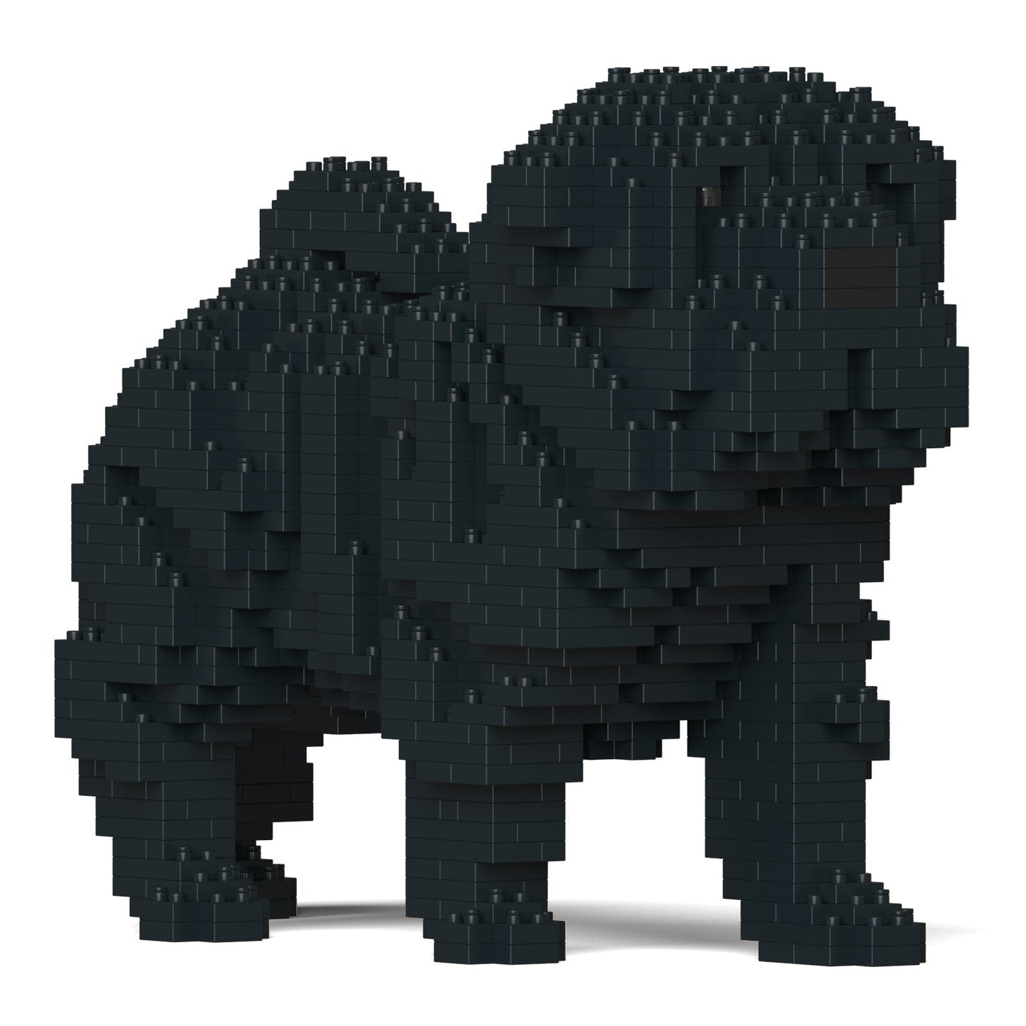 Chien Shar Pei noir