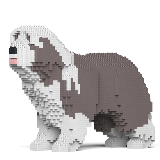 Chien Bearded Collie gris clair