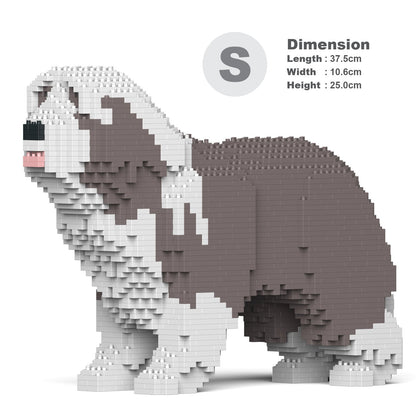 Chien Bearded Collie gris clair