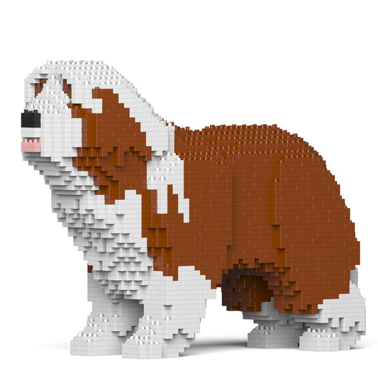 Chien Bearded Collie marron