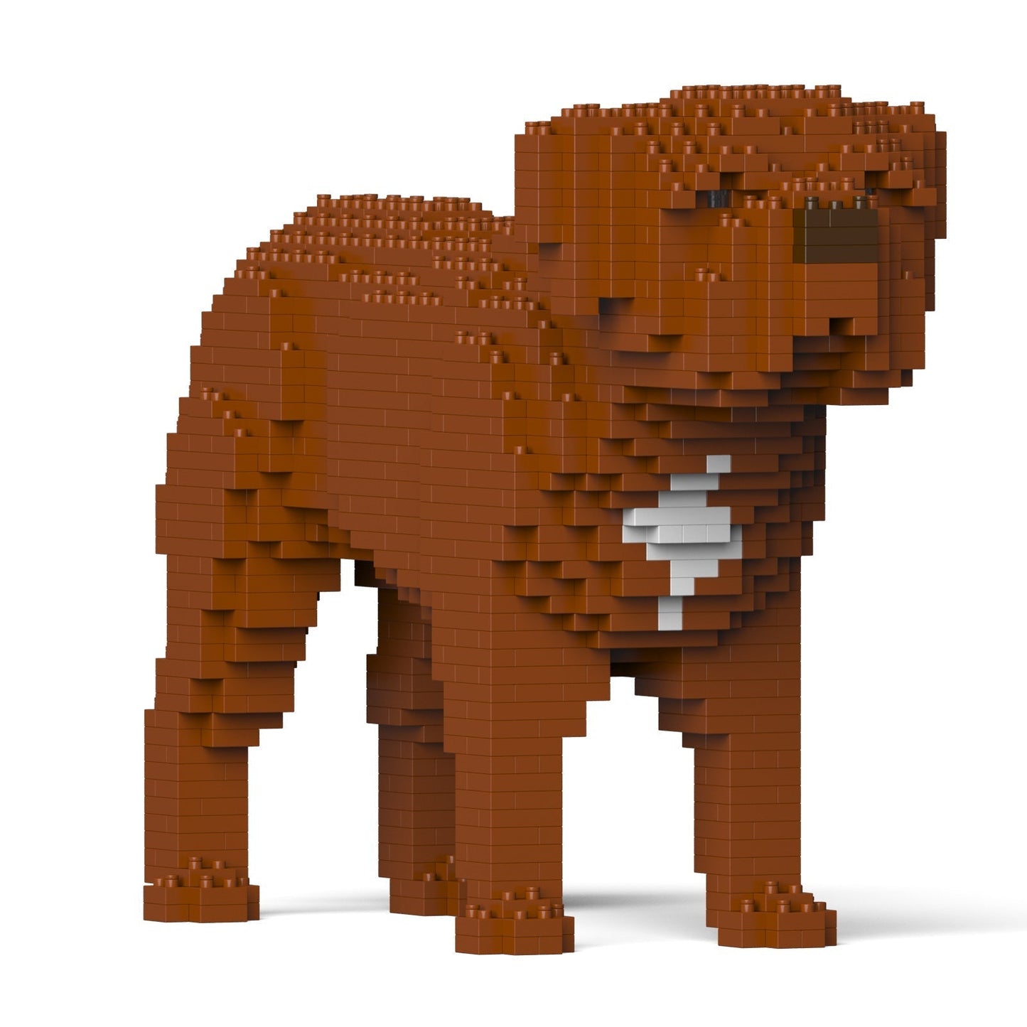 Chien Dogue de Bordeaux