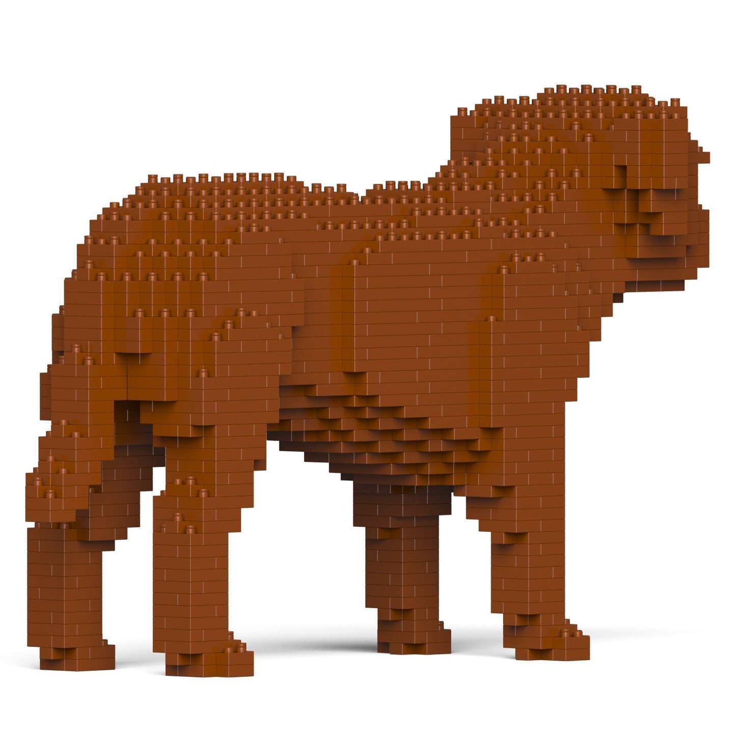 Chien Dogue de Bordeaux