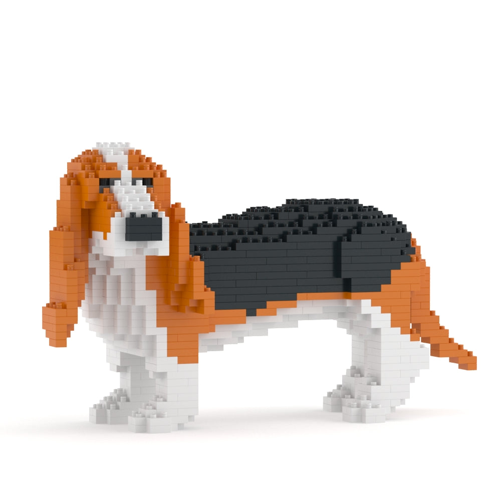 Chien Basset Hound roux