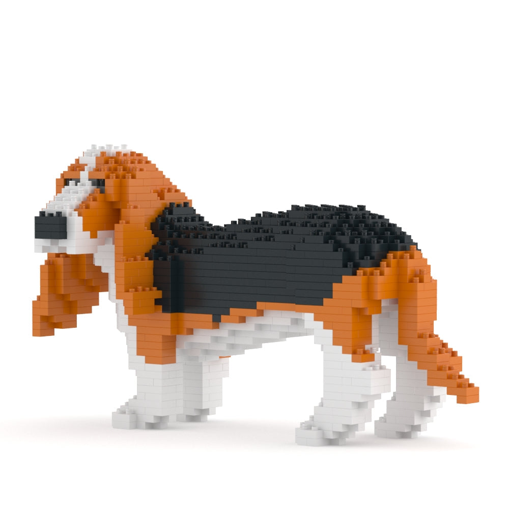 Chien Basset Hound roux