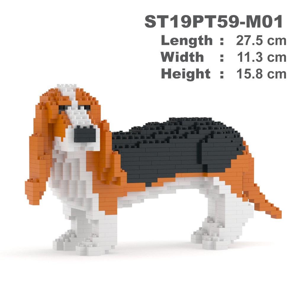 Chien Basset Hound roux