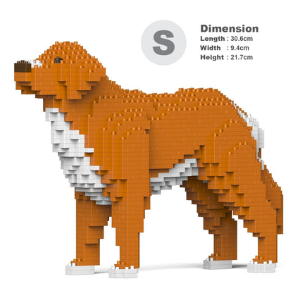 Chien Retriever de la Nouvelle-Écosse