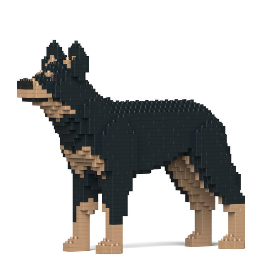 Chien Kelpie Australien