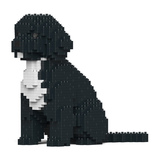Chien Cockapoo noir
