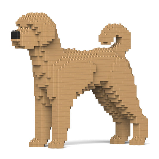 Chien Labradoodle beige