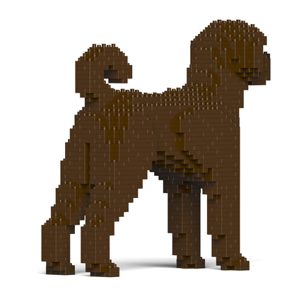Chien Labradoodle marron