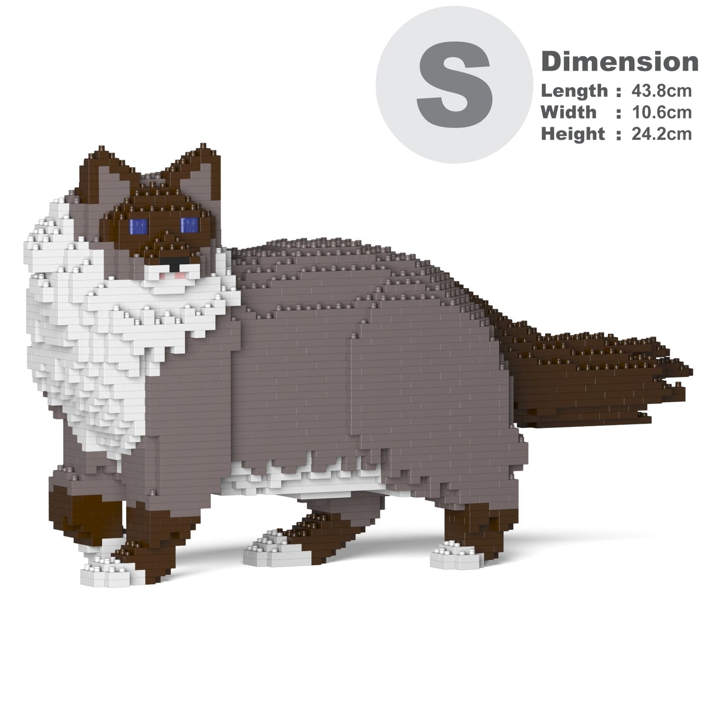 Chat Ragdoll gris foncé