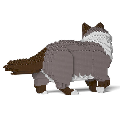 Chat Ragdoll gris foncé