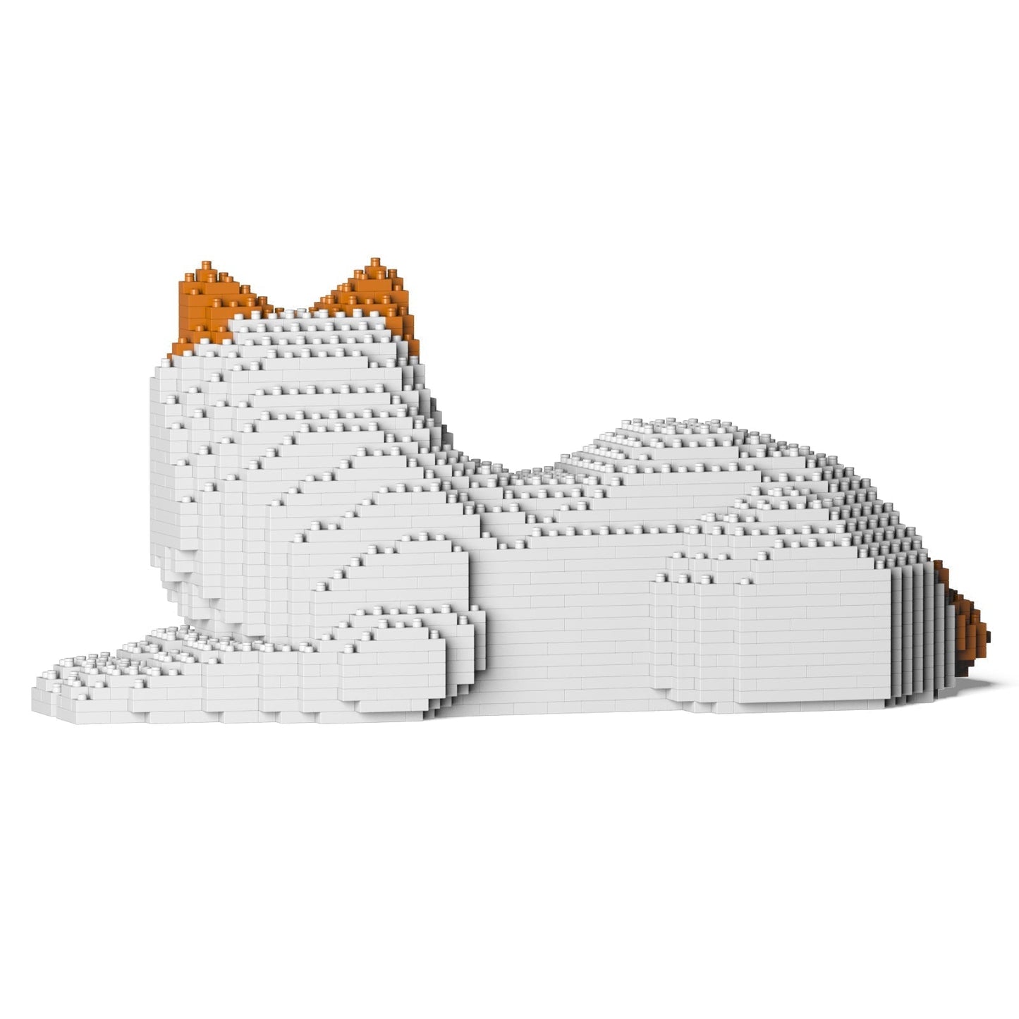 Chat Ragdoll roux couché