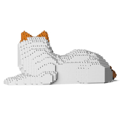 Chat Ragdoll roux couché