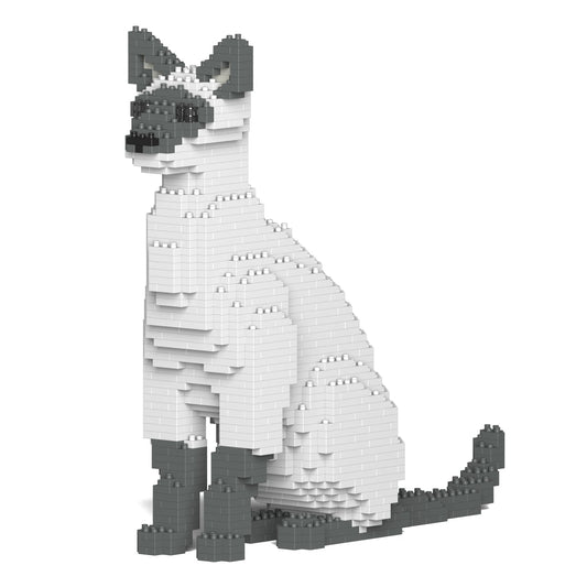 Chat Siamois gris assis