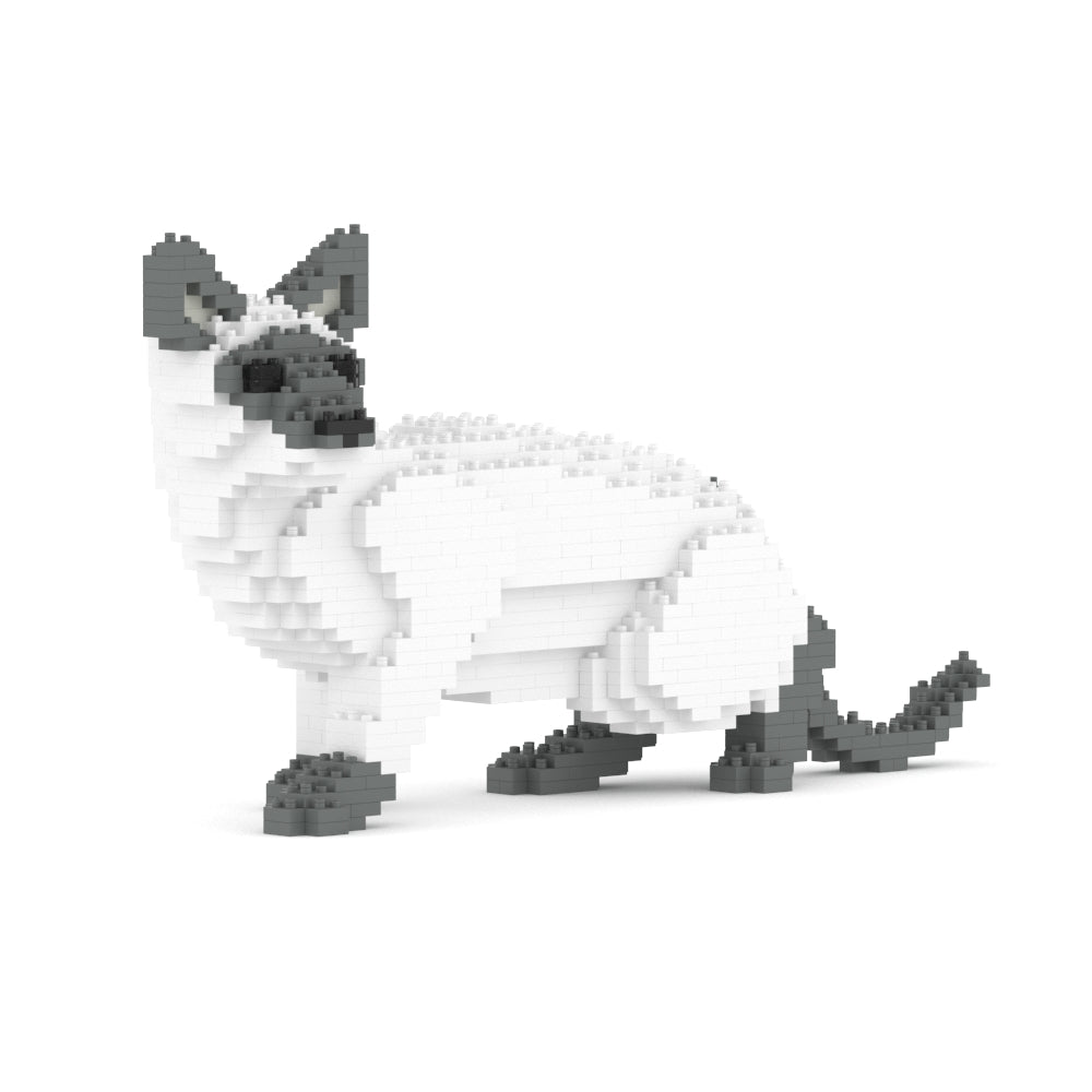 Chat Siamois gris