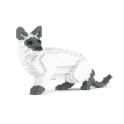 Chat Siamois gris