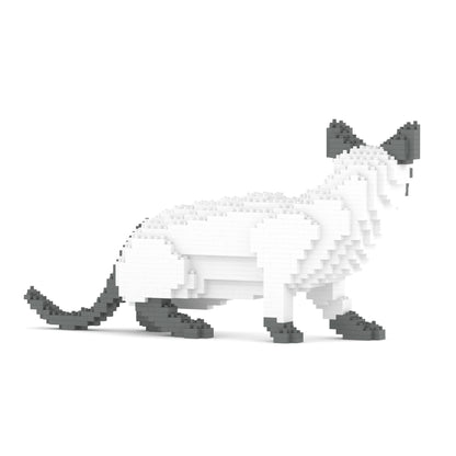 Chat Siamois gris
