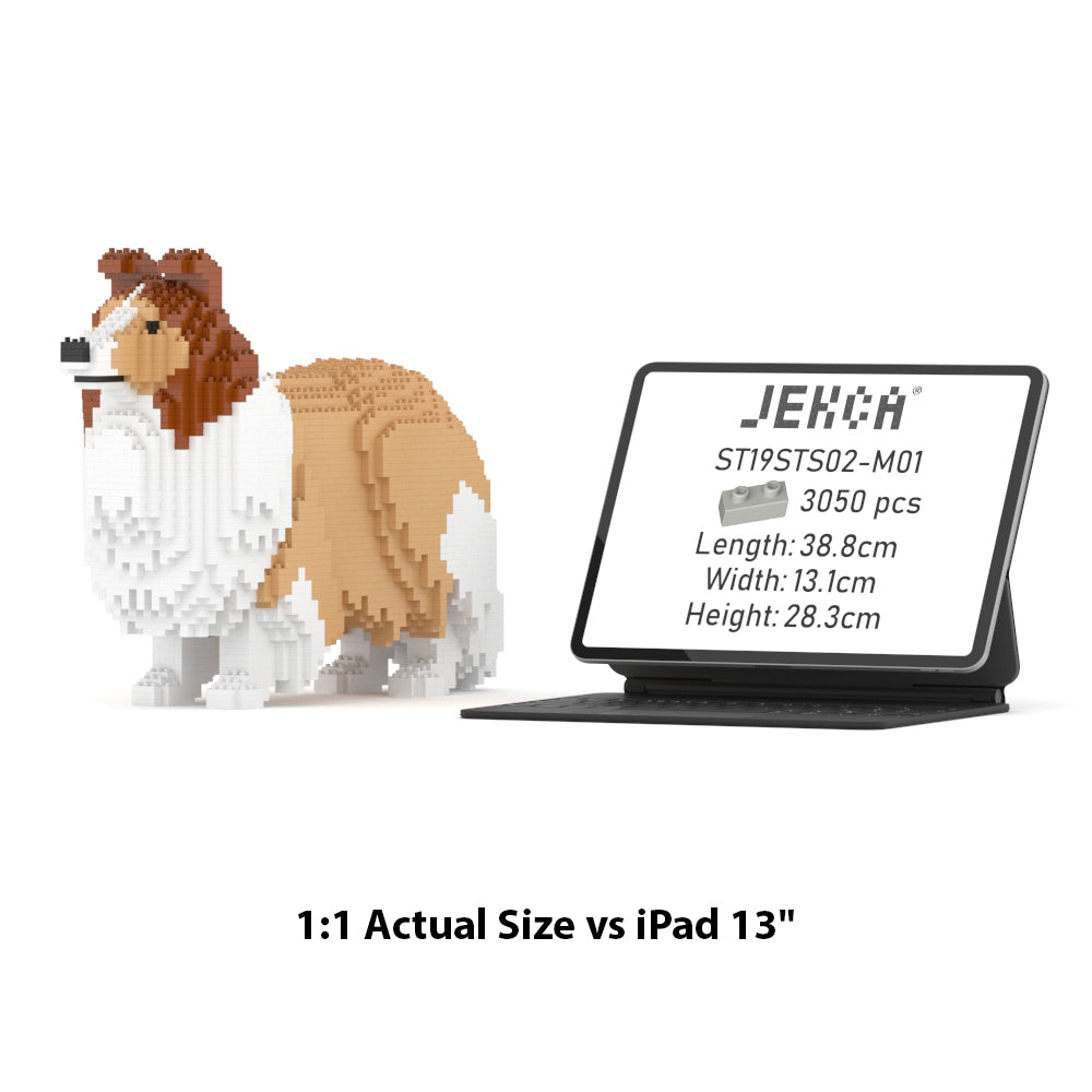 Shetland Sheepdog 02S-M01