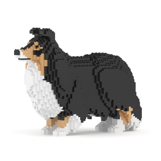 Shetland Sheepdog 02S-M02