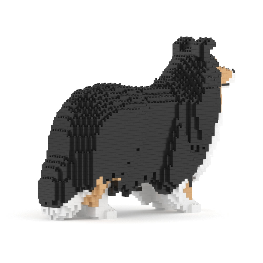 Shetland Sheepdog 02S-M02