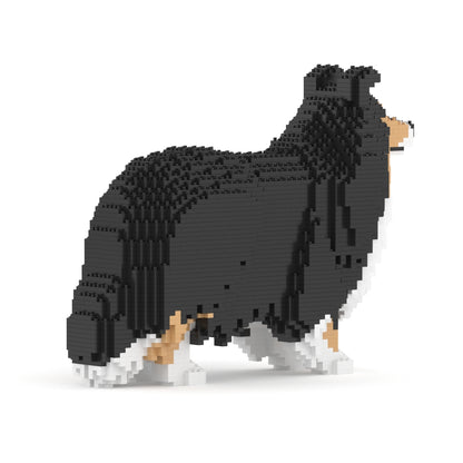 Shetland Sheepdog 02S-M02