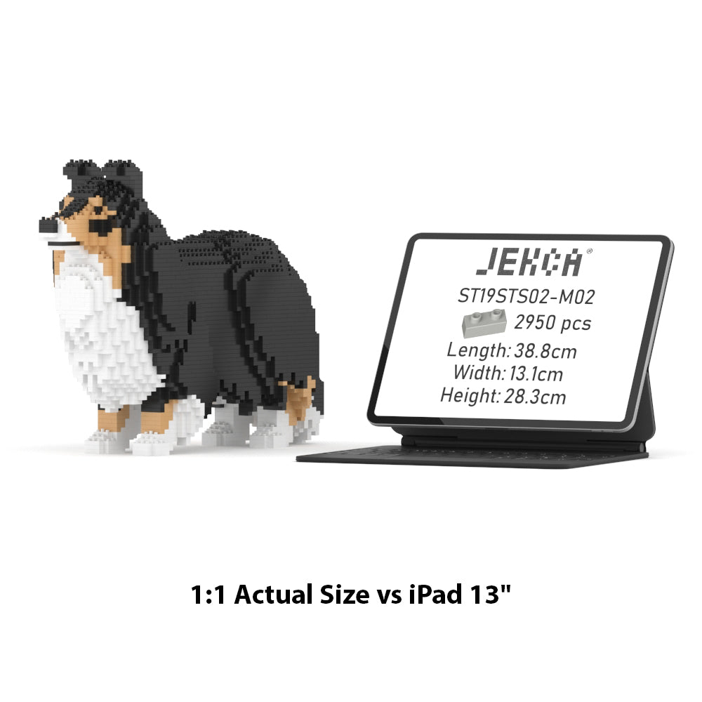 Shetland Sheepdog 02S-M02
