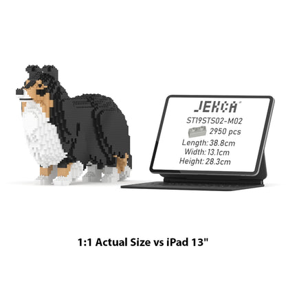 Shetland Sheepdog 02S-M02